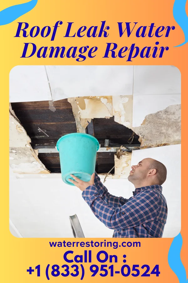 Roof Leak Water Damage Repair in Thorntown, IN
