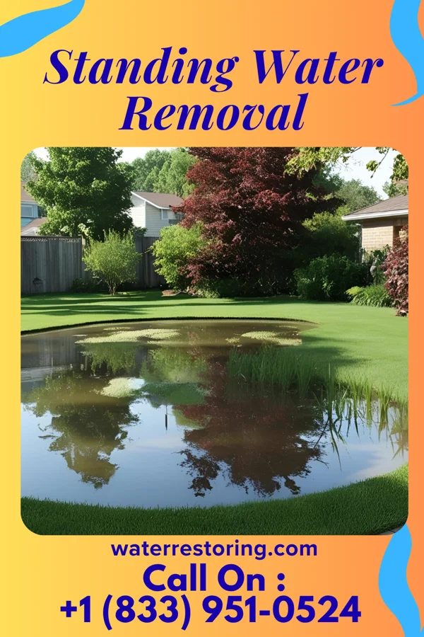 Standing Water Removal in Thorntown, IN